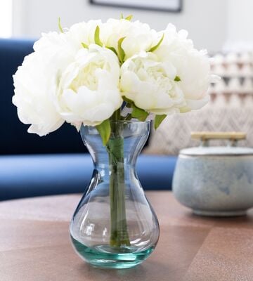 Pionikimppu x 8 valkoinen 24 cm